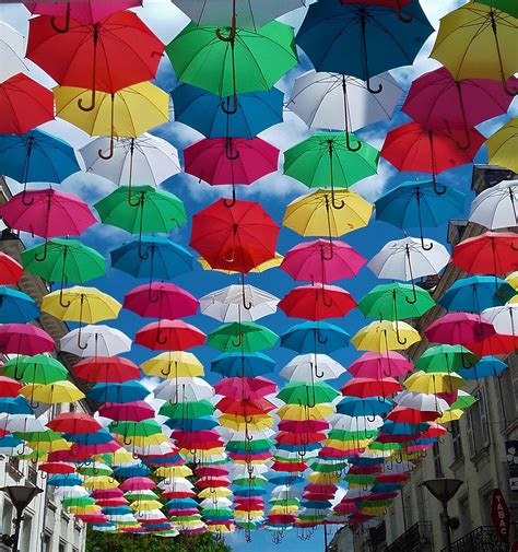 Parapluies .